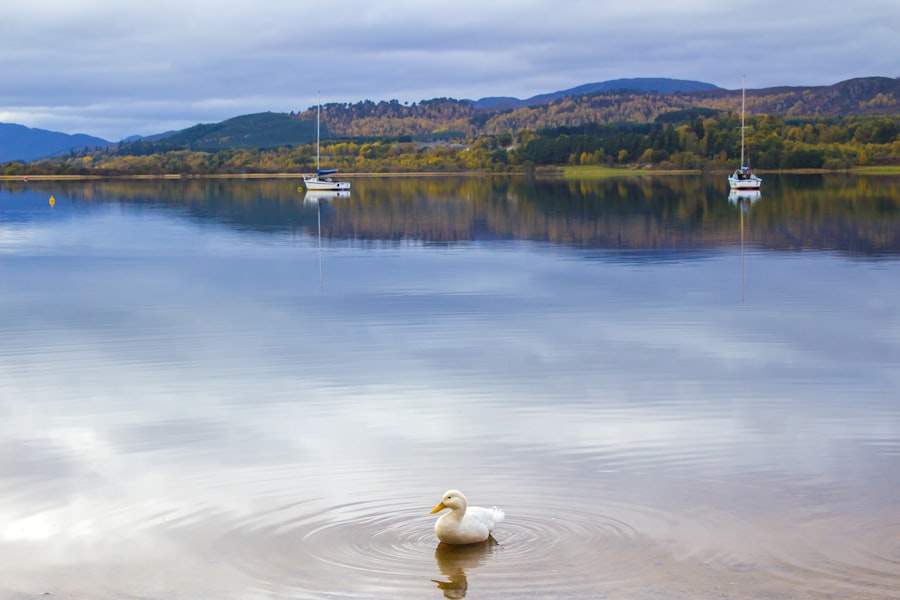 Aviemore, The Cairngorms